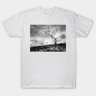 Lonely Tree T-Shirt